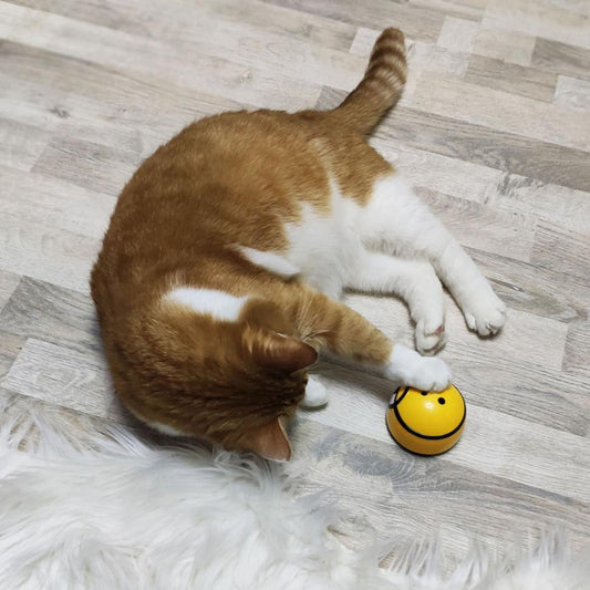 Intelligent Escaping Toy – Interactive Baby Development Toy